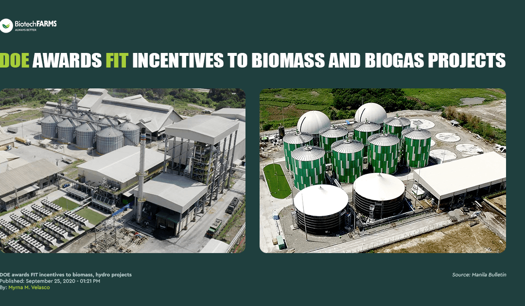 DOE Awards Fit Incentives to Biomass, Hydro Projects