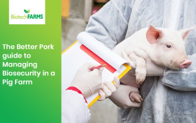 The Better Pork Guide to Managing Biosecurity in a Pig Farm